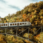 Il treno del foliage